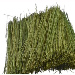 95086 FIELD GRASS - LIGHT GREEN