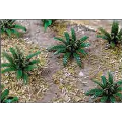 95533  16mm WIDE FERNS 12/pk  H0/00