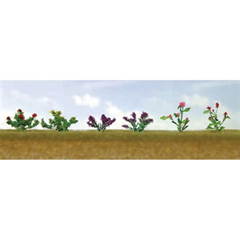 95557 FLOWER PLANT ASSORTMENT #1 12/pk.