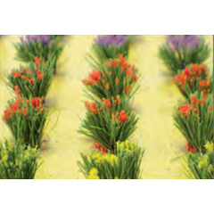 95581  H0/00 FLOWER BUSHES  30/pk