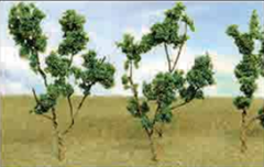 95519 MEDIUM GREEN BRANCHES