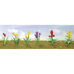 95559 FLOWER PLANT ASSORTMENT #2 12/pk.