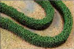 95614 LONG BOXWOOD HEDGES (10 X 13 X 508mm) 2/pk