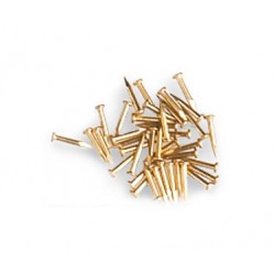 8601 - 5mm Brass Nails